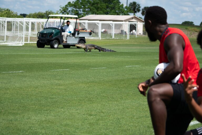 Alligator invade treino do Toronto FC na Flórida